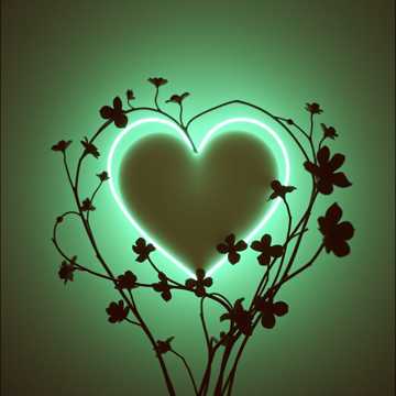 L’amour n’est pas aveugle